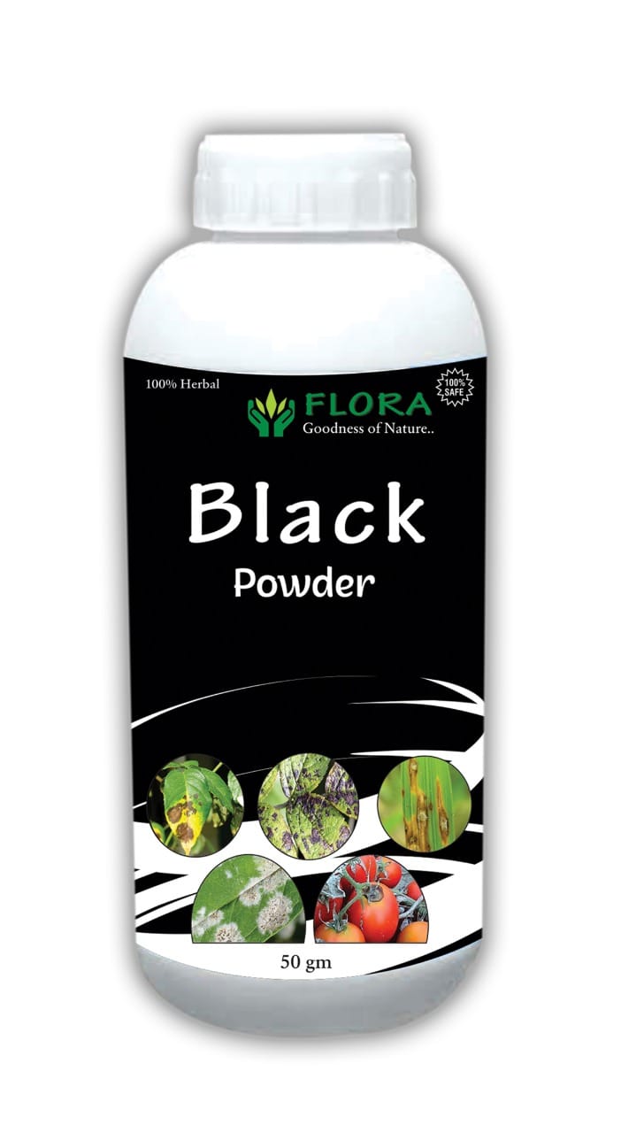 Black Powder